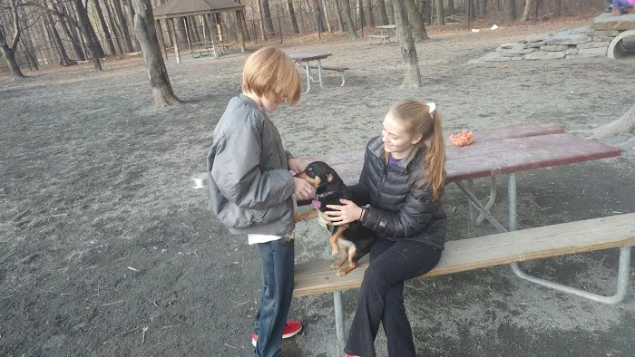 Dog Park in Wheaton Regional Park 8