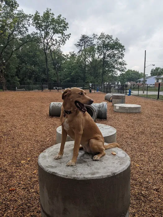 Hollywood Dog Park 2