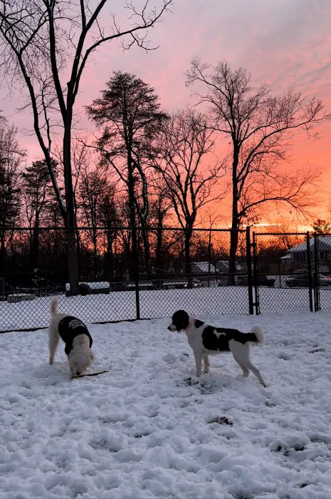 Hollywood Dog Park 3