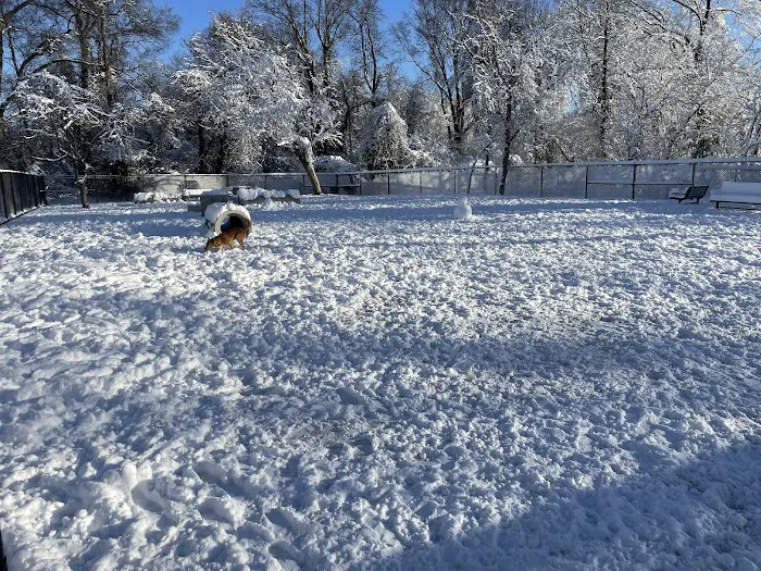 Hollywood Dog Park 9