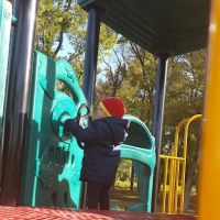 College Park Dog Park (Members Only) ico
