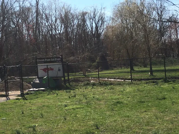 College Park Dog Park (Members Only) 7