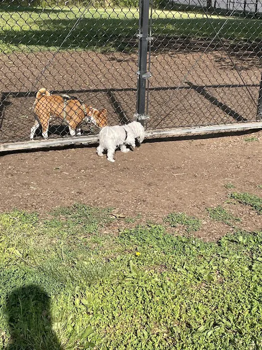 Greenbelt Dog Park (Permit Only) 7