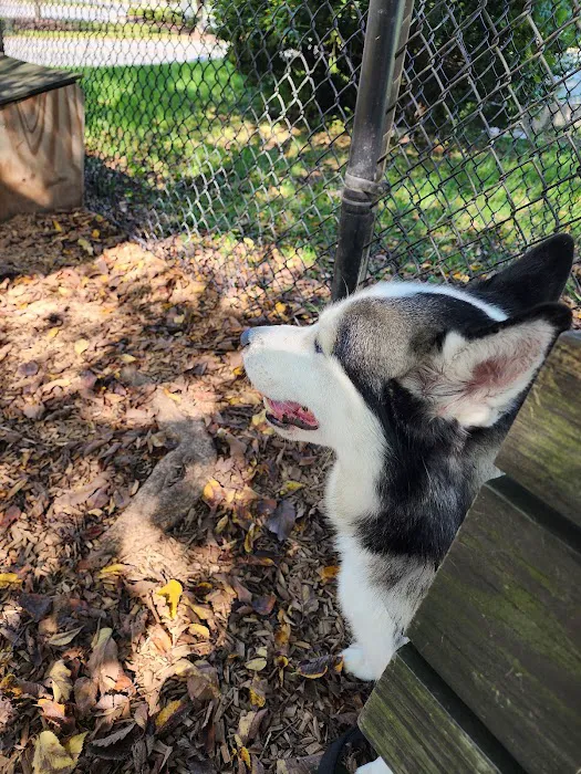 Greenbelt Dog Park (Permit Only) 4