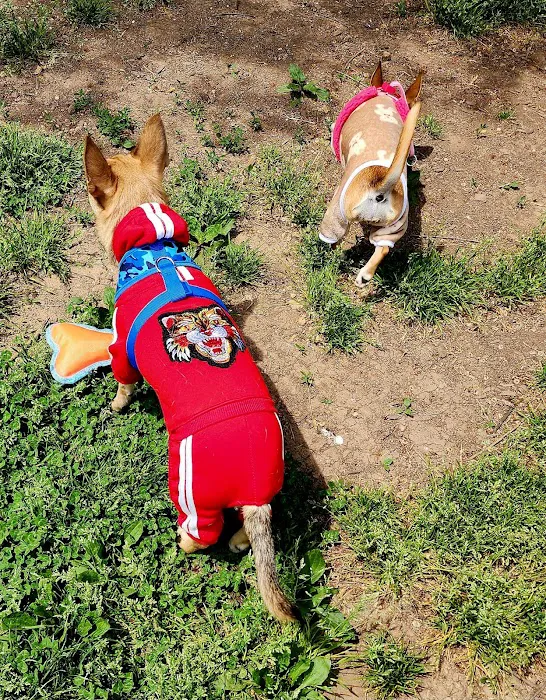 Greenbelt Dog Park (Permit Only) 3