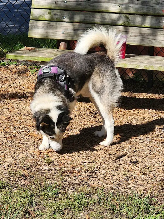 Greenbelt Dog Park (Permit Only) 5
