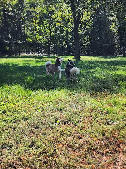 Greenbelt Dog Park (Permit Only) 2