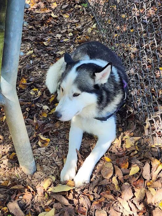 Greenbelt Dog Park (Permit Only) 1