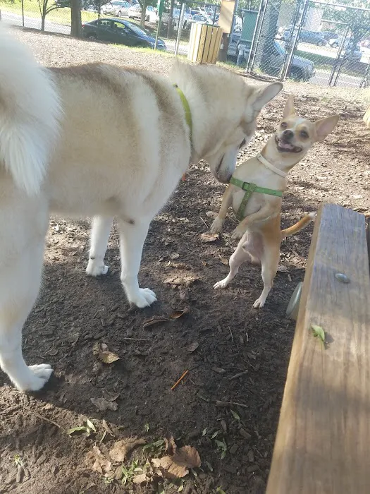Greenbelt Dog Park (Permit Only) 8
