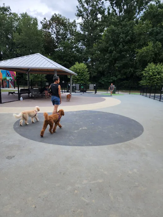 Dog Park at Dewey Local Park 5