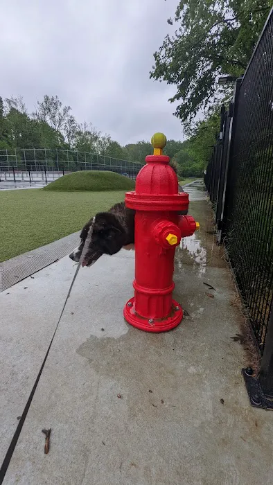Dog Park at Dewey Local Park 4