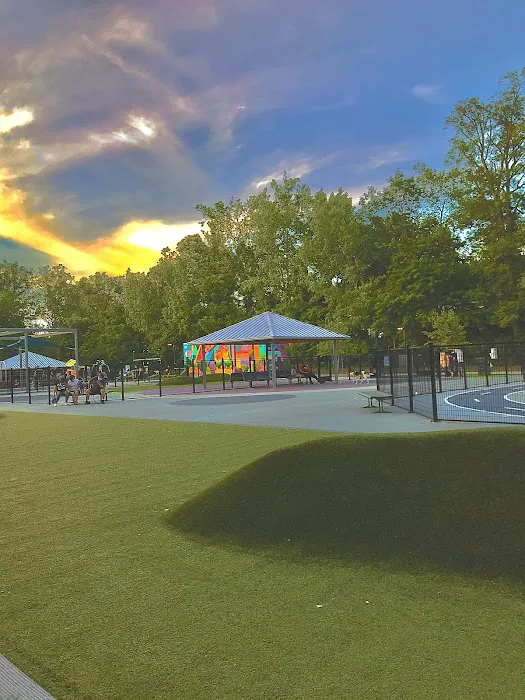 Dog Park at Dewey Local Park 3