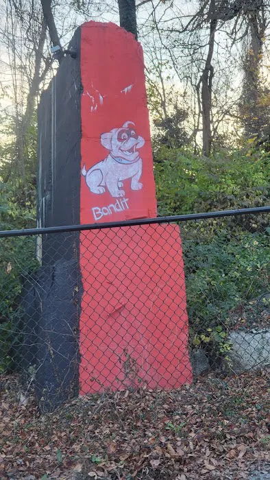 Kensington Dog Run 3