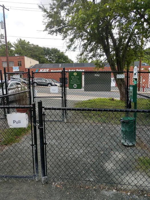 Kensington Dog Run 9