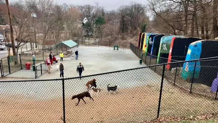 Kensington Dog Run 4