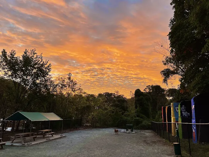 Kensington Dog Run 8