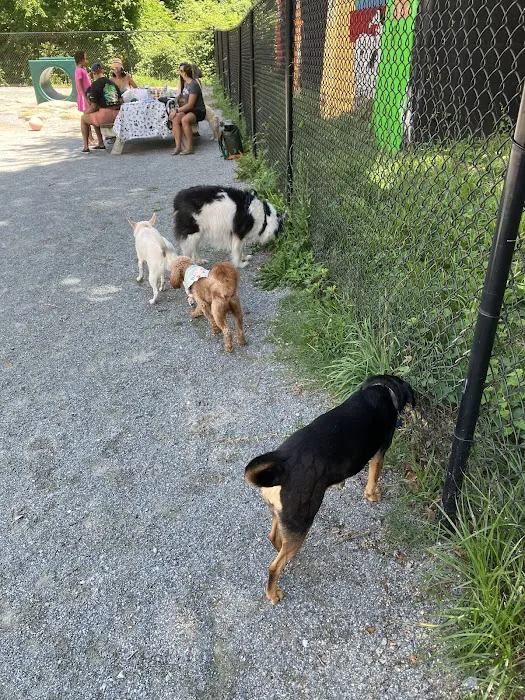 Kensington Dog Run 2