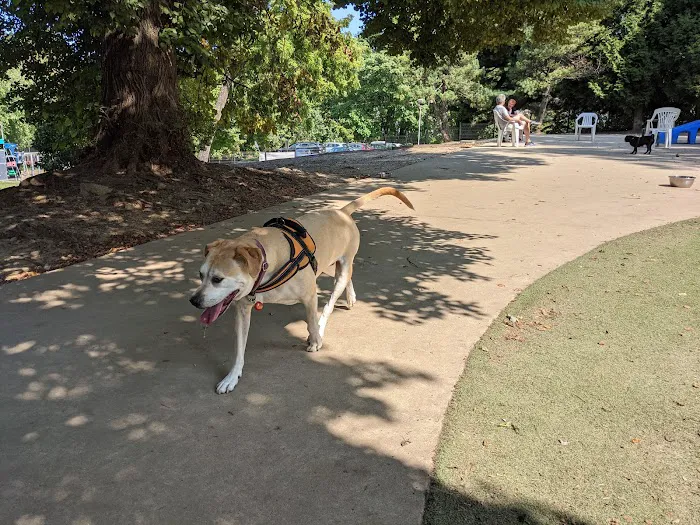 Ellsworth Park and Dog Park 7