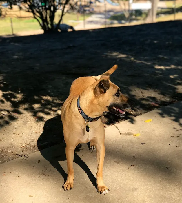 Ellsworth Park and Dog Park 3