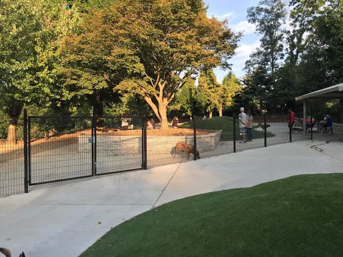 Ellsworth Park and Dog Park 6