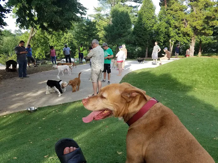 Ellsworth Park and Dog Park 4