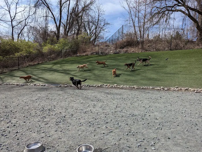 Takoma Park Dog Park 1