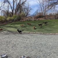 Takoma Park Dog Park ico