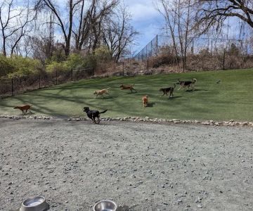 Takoma Park Dog Park