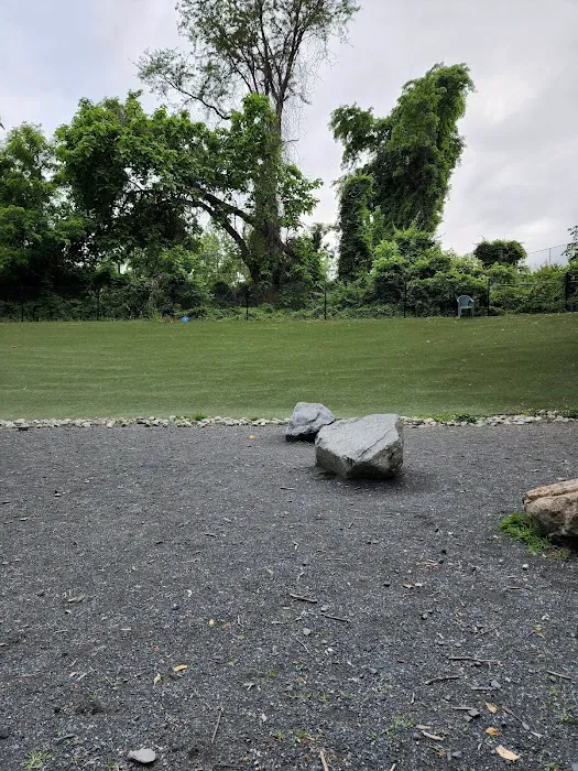 Takoma Park Dog Park 8