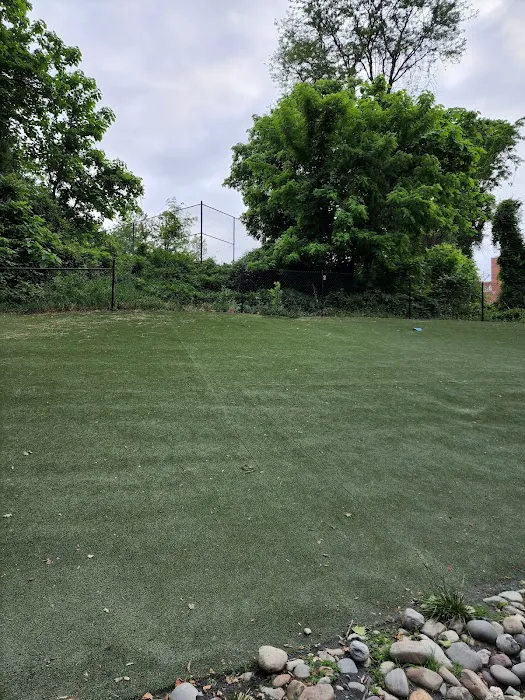 Takoma Park Dog Park 4