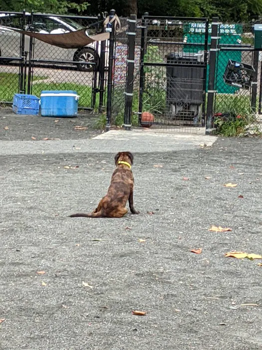 Takoma Park Dog Park 2