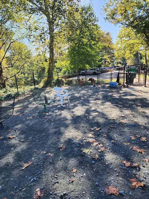 Takoma Park Dog Park 10