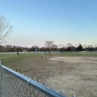 Waggertail Dog Park ico