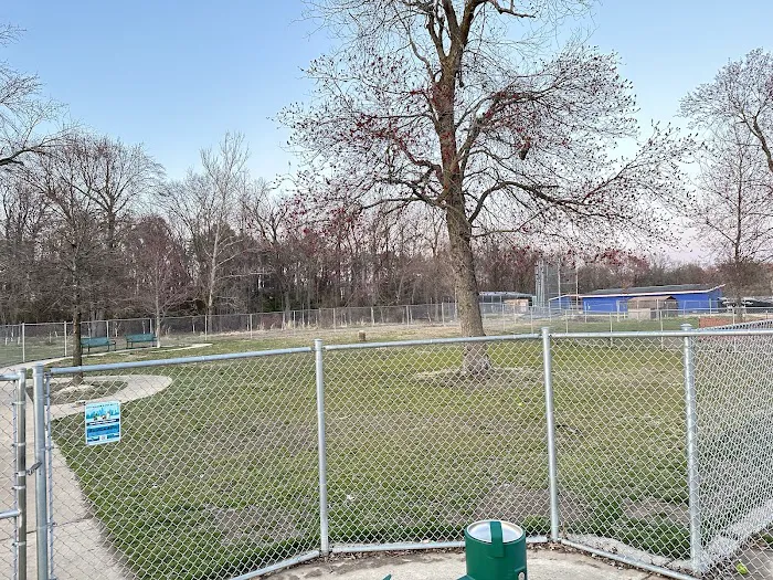 Waggertail Dog Park 8