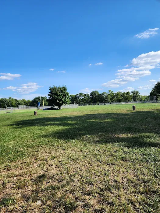 Waggertail Dog Park 5