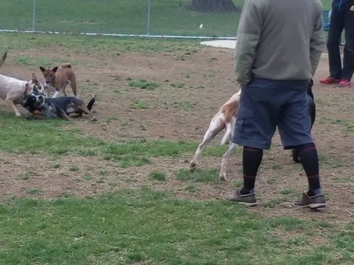 Waggertail Dog Park 2