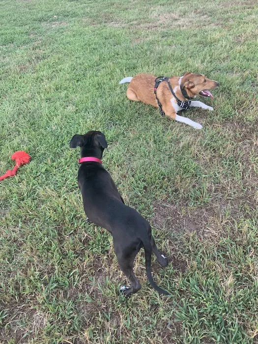 Waggertail Dog Park 3