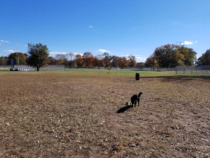 Waggertail Dog Park 7