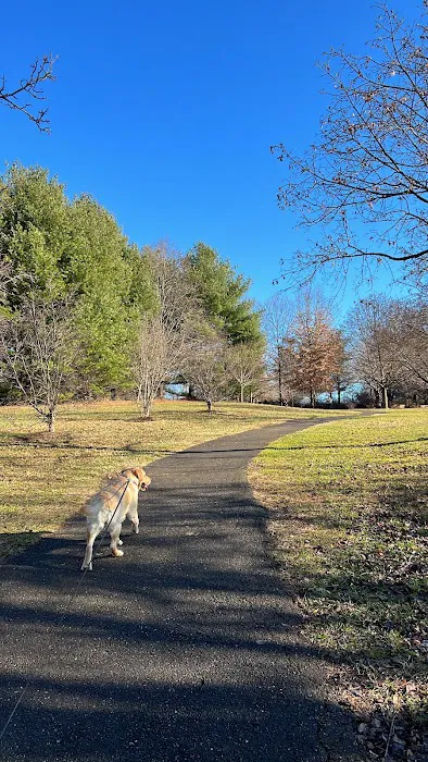 Dog Exercise Area at Green Park 9