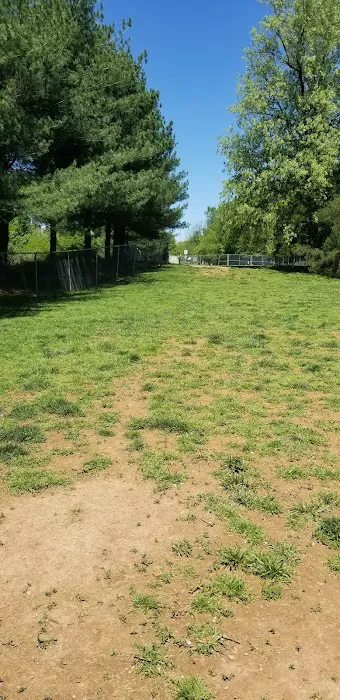 Dog Exercise Area at Green Park 8