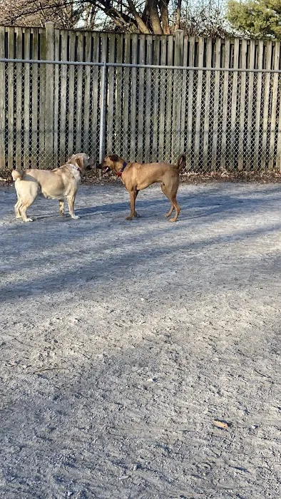Dog Exercise Area at Green Park 5