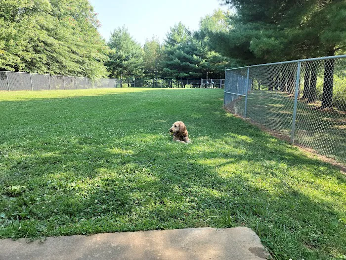 Dog Exercise Area at Green Park 1