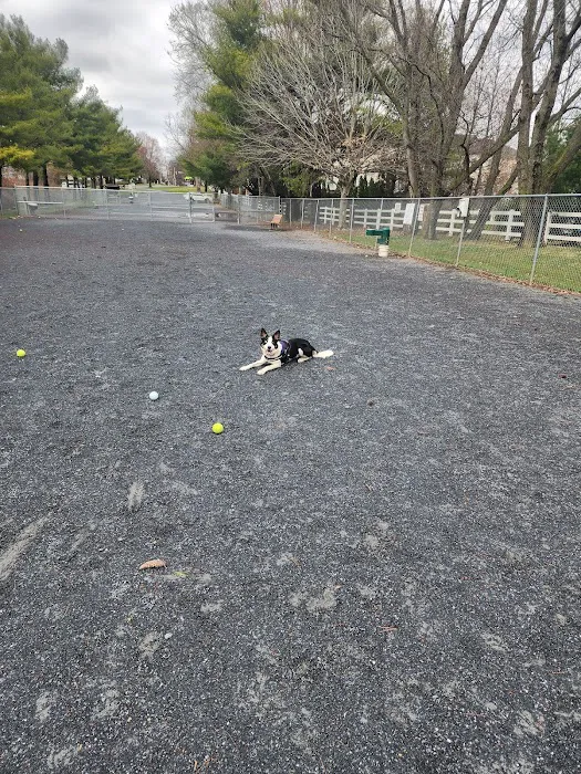 Dog Exercise Area at Green Park 3