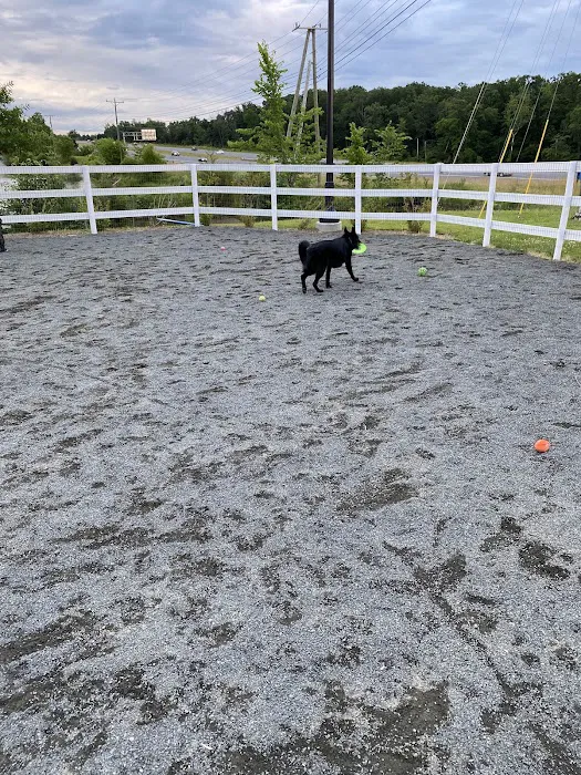 Dog Park 9