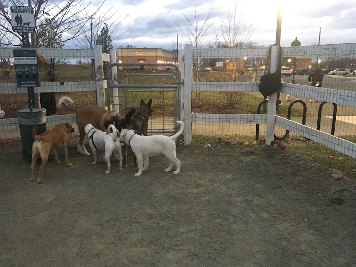 Dog Park 6