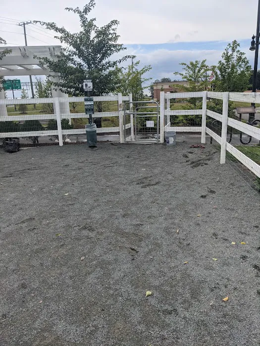 Dog Park 7