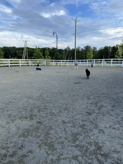 Dog Park 5