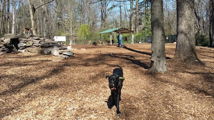 Cabin John Regional Dog Park 7