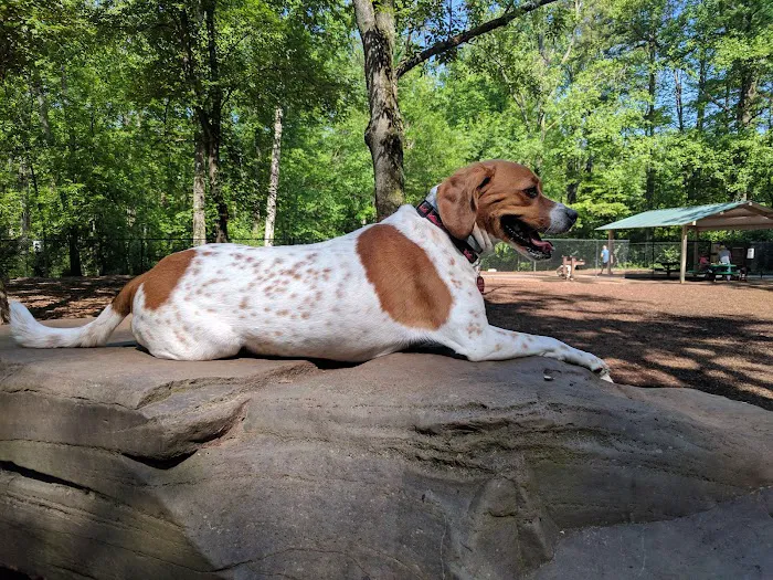Cabin John Regional Dog Park 3