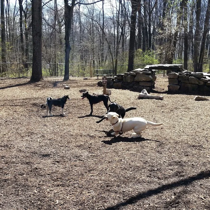 Cabin John Regional Dog Park 4
